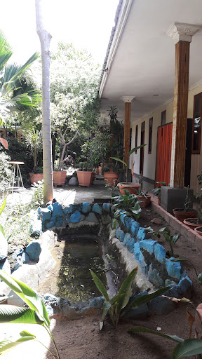 Oasis Hotel