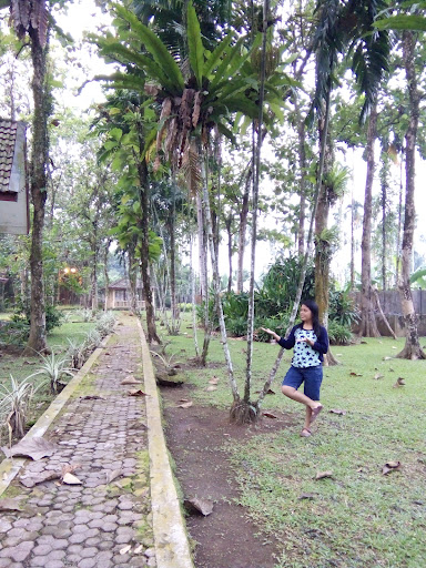 Dream Land Resort