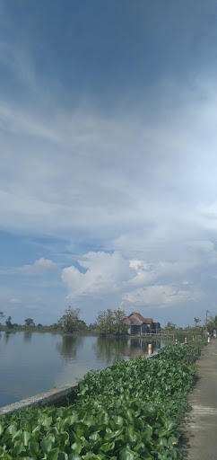 Dusun Bojoasri Kalitengah Lamongan Jawa Timur