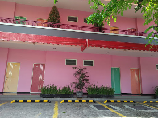 Hotel Pink House
