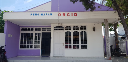 Penginapan Orchid