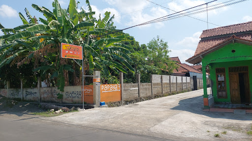 Hotel Papaya 3