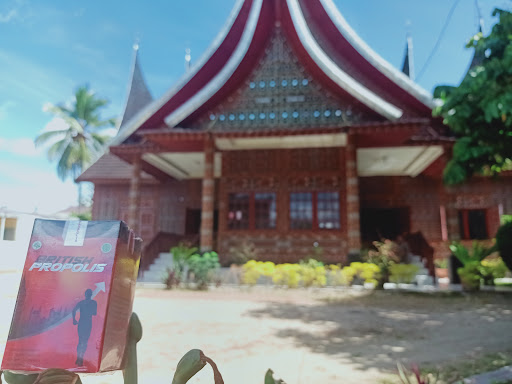 Riz Guest House Rumah Gadang Solok