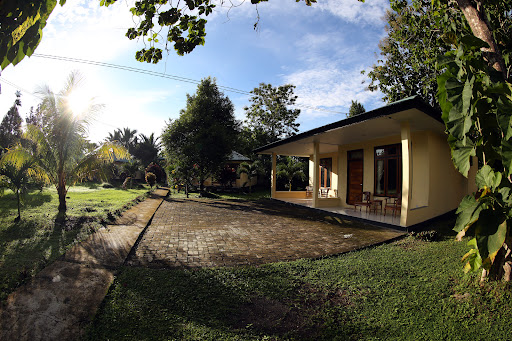 Saloi inn